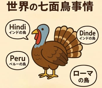 世界の七面鳥事情 ̳202511