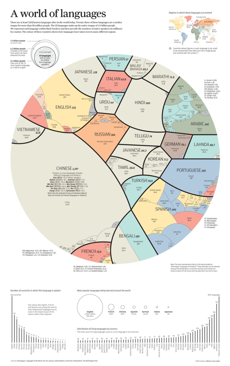 language-infographic_1